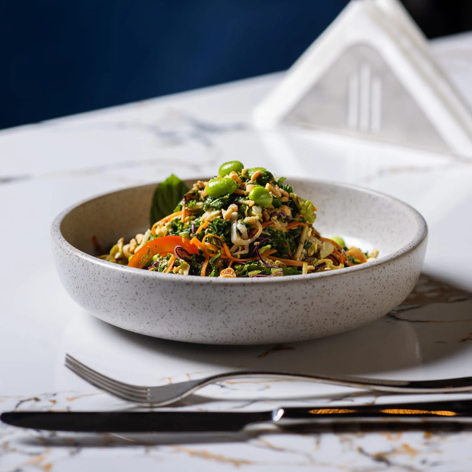 Crispy Kale Saladسلطة الكيل المقرمشة 1